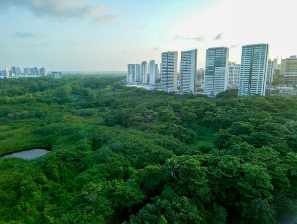 Blog chats et chiens : conseils essentiels pour les propriétaires